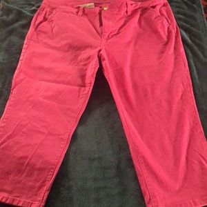 Dark pink capris